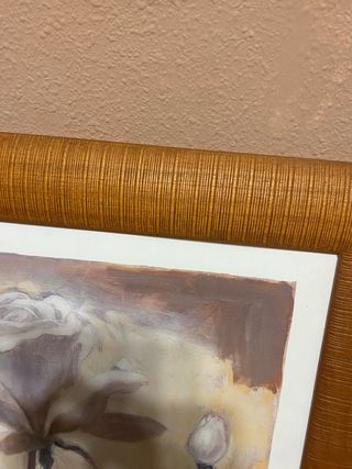 Grandes60/80, pequeños50/40, , los cuatro 50€