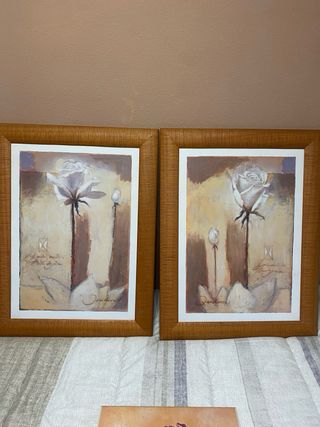 Grandes60/80, pequeños50/40, , los cuatro 50€