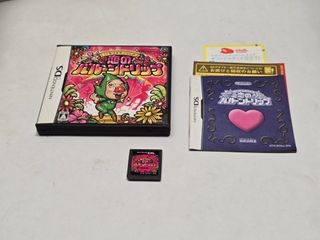 Ripened Tingle's Balloon Trip of Love Nintendo DS