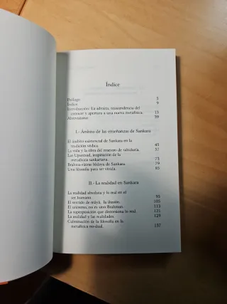 Sankara y la visión advaita de la realidad