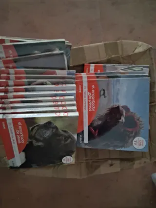 Coleccion completa del ENCANTADOR DE PERROS