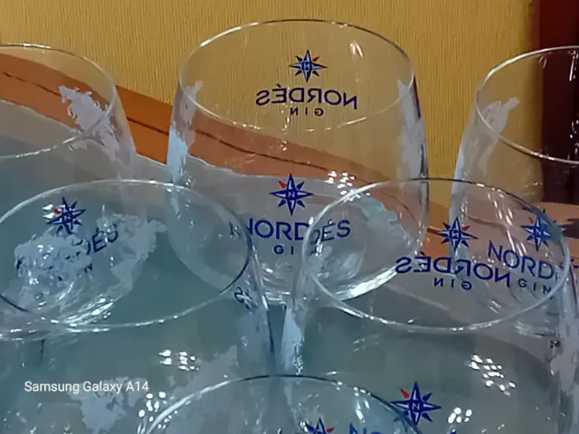 Set 6 Bicchieri Nordes Gin Nuovi