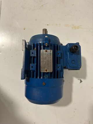 Motor Eléctrico Trifásico TALREN