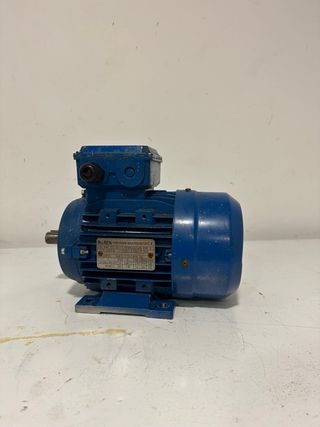 Motor Eléctrico Trifásico TALREN