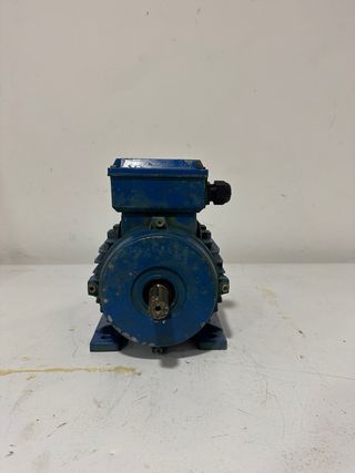 Motor Eléctrico Trifásico TALREN