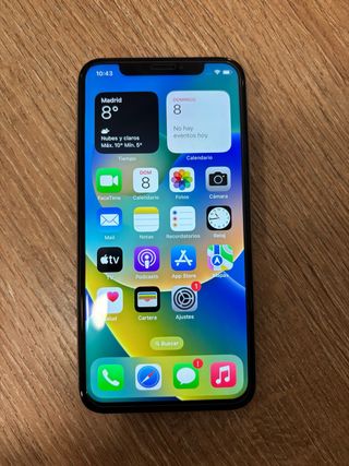 iPhone X 256GB Plata/White