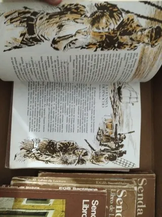 Lote libros Senda 3,4,5,6,7.