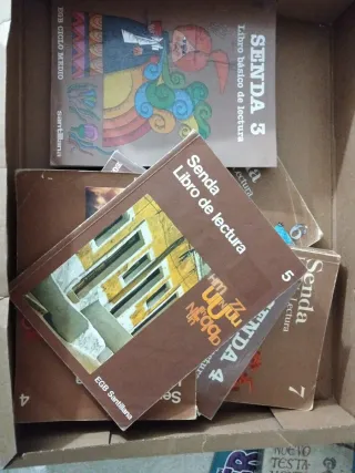 Lote libros Senda 3,4,5,6,7.
