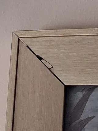 Set 2 Cuadros Flores Beige y Gris