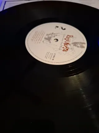 Pata Negra - Como una Vara Verde