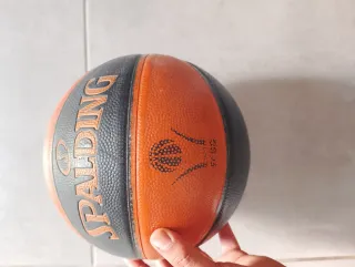 Balón Spalding TF-50