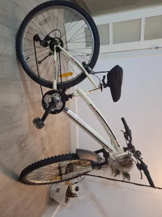 Bicicleta Mujer 21 Velocidades