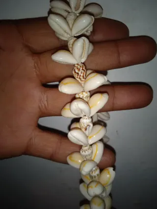 Collar de conchas beige