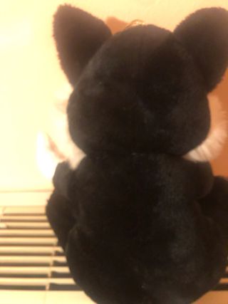 Peluche Gatto Nero e Giallo