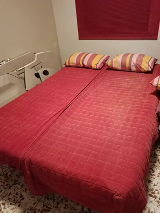Sofá Cama Rojo