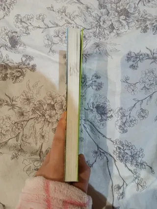 Un duende en la ciudad (Saga Flambus Green)