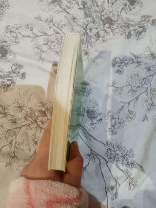 Un duende en la ciudad (Saga Flambus Green)