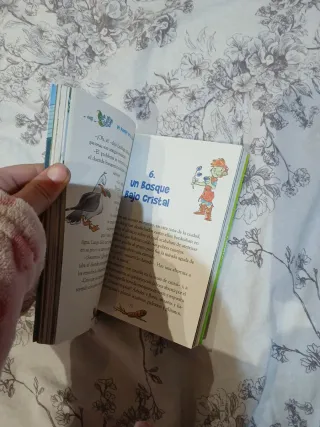 Un duende en la ciudad (Saga Flambus Green)