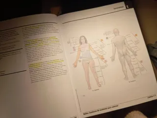 Libro anatomía para colorear