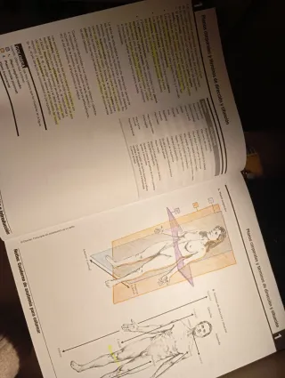 Libro anatomía para colorear