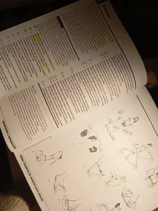 Libro anatomía para colorear