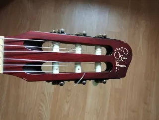 Guitarra Godin
