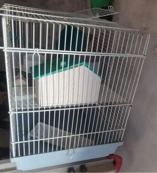 Jaula para hámster con accesorios