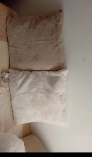 Lote 2 cojines decorativos