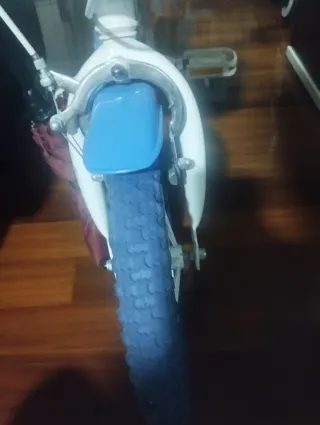 Bicicleta infantil con ruedines14"