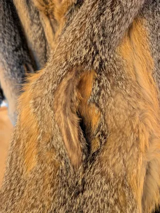 Chaquetón de zorro de Virginia