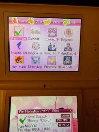Nintendo DS Lite Rosa + Cargador + Estuche + Tarje