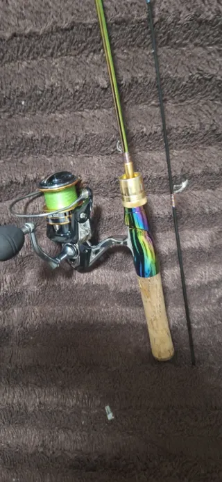 Caña Carbono Chameleon + Carrete