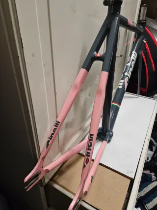 ♦️ VIGOROSA ♦️