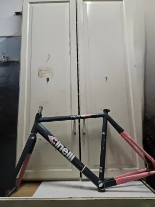 ♦️ VIGOROSA ♦️