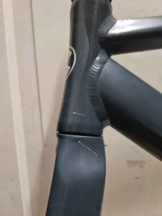 ♦️ VIGOROSA ♦️