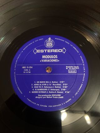 Disco Vinilo Modulos Variaciones