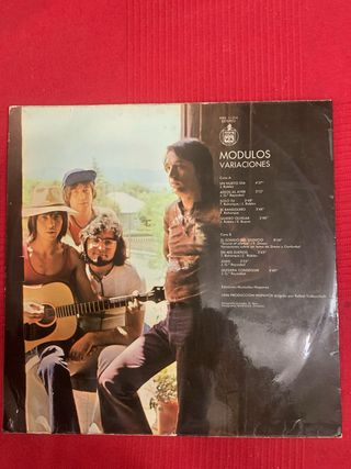 Disco Vinilo Modulos Variaciones