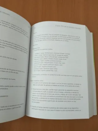 El gran Libro de los Remedios Naturales (Spanis...