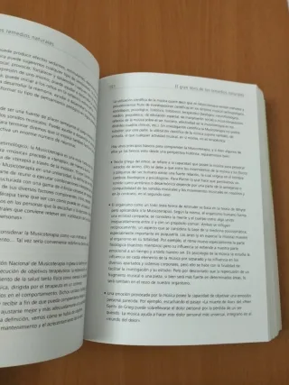 El gran Libro de los Remedios Naturales (Spanis...