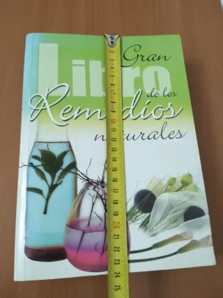El gran Libro de los Remedios Naturales (Spanis...