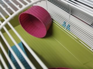 Jaula Hámster Usada 1 Semana