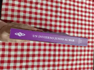 Un invierno junto al mar (Spanish Edition)