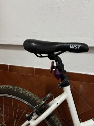 Bicicleta de montaña WST