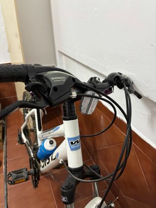 Bicicleta de montaña WST