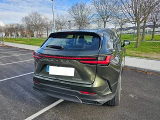 Lexus NX 2024