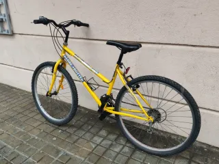 Bicicleta