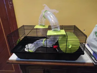 Jaula para hámster con accesorios