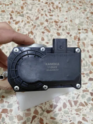 Cuerpo de acelerador