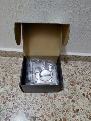 Cuerpo de acelerador