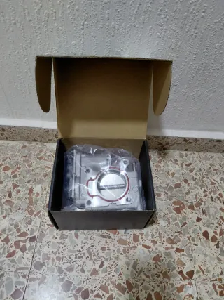 Cuerpo de acelerador